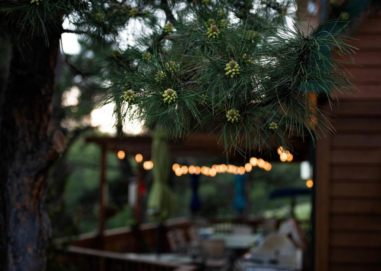 Coyote Blues Village Bed & Breakfast Silver City Bagian luar foto